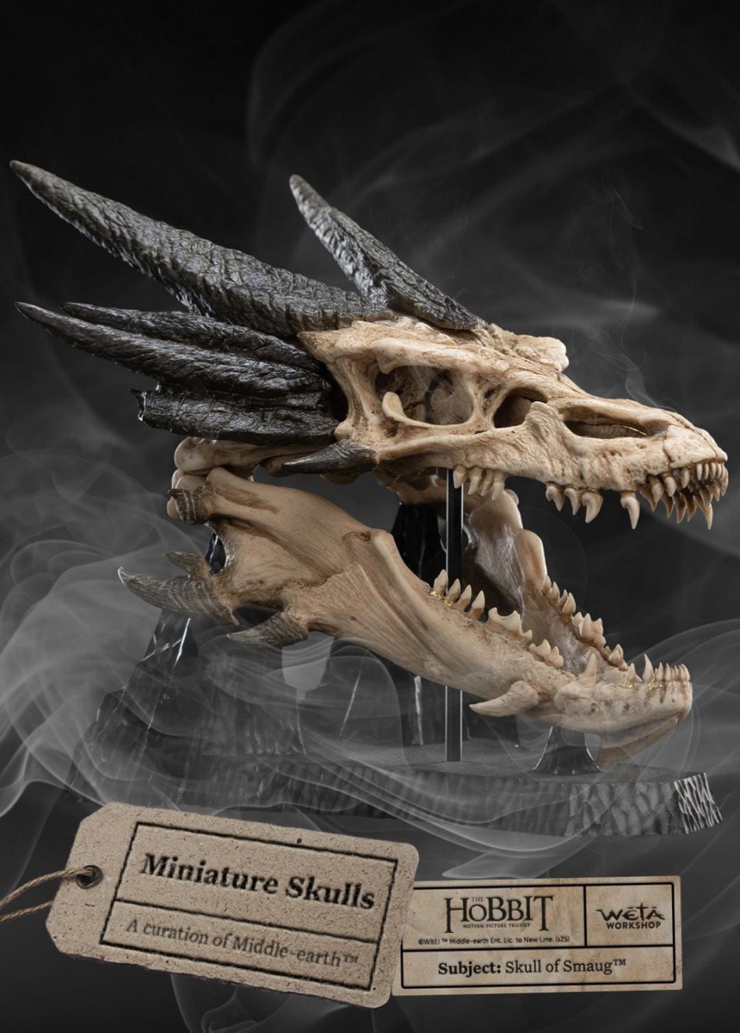 （專用）文玩堂：大沽石カモノハシ Amazon.co.jp: カモノハシ 88795 : Hobbies
