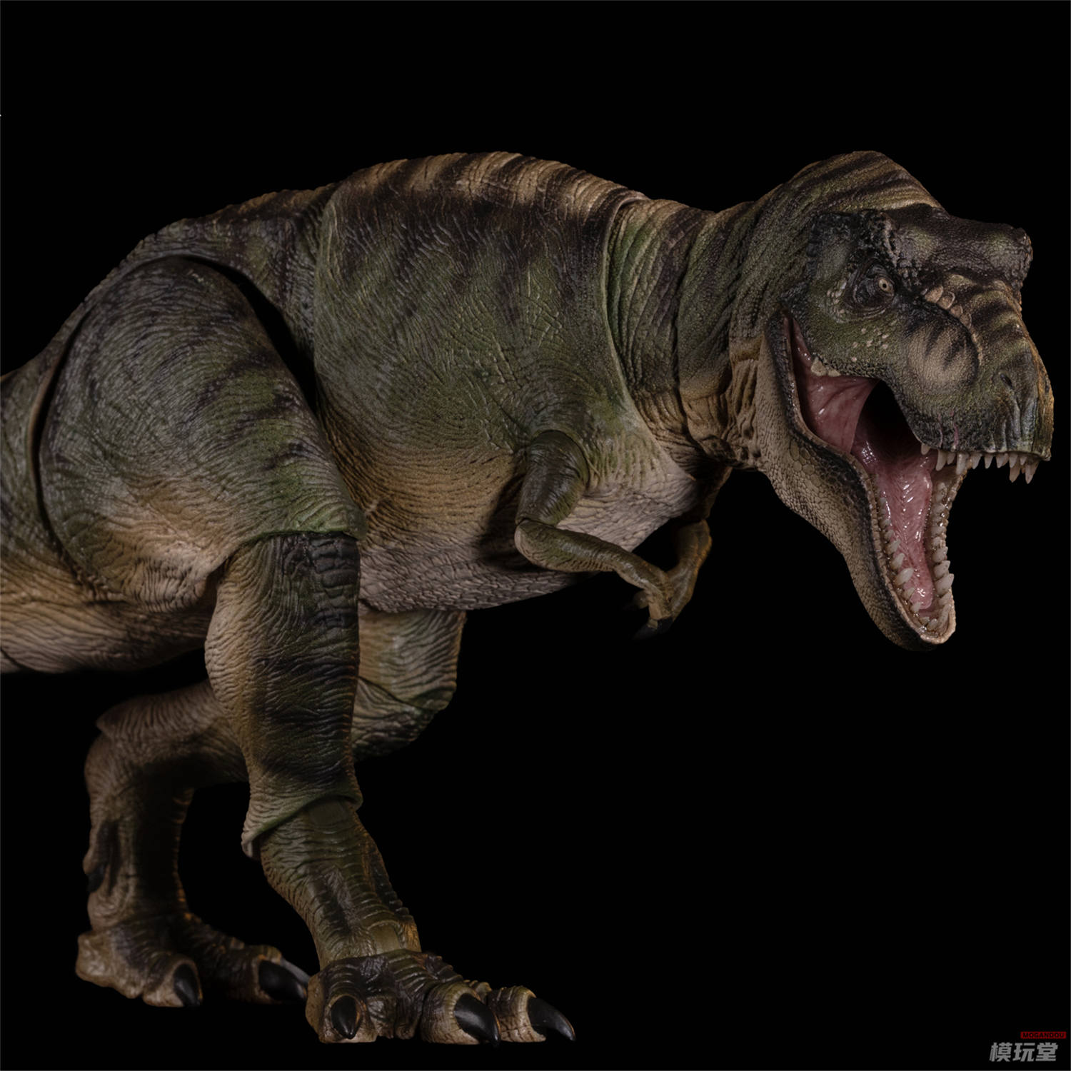 予約 Nanmu Studio 「零集易動」シリーズ ティラノサウルス 3.0 永遠の