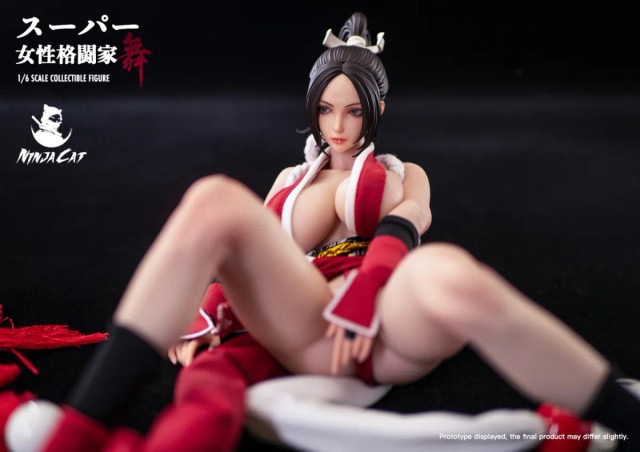 Ninja Cat 1/6スケールフィギュア Amazon.co.jp: Ninja Cat 1/6 フィギュア キャラクター 女格闘家