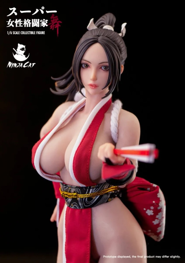 Ninja Cat 1/6 女子格闘家 舞 N001 Female Fighter Mai Collectible