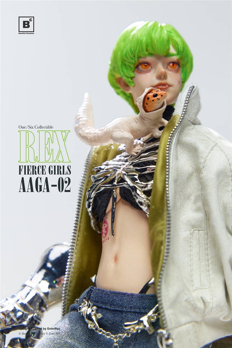 Beautiful Chemistry x Entei Ryu 1/6 傭兵ランサー レックス AAGA-02