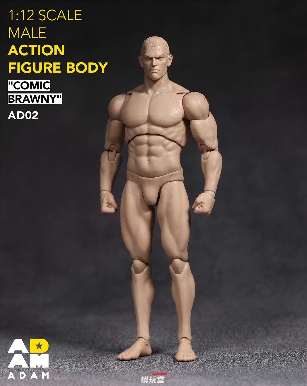 予約 ADAM 1/12 超可動 漫画スタイル 筋肉質 素体 AD02 Comic Sbrawny