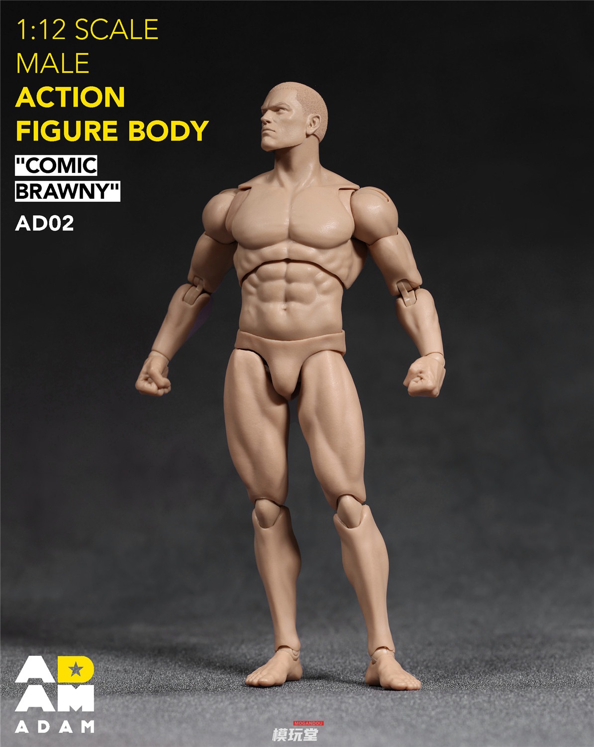 漫画アートプリント アクションスタイル 予約 ADAM 1/12 超可動 漫画スタイル 筋肉質 素体 AD02 Comic Sbrawny
