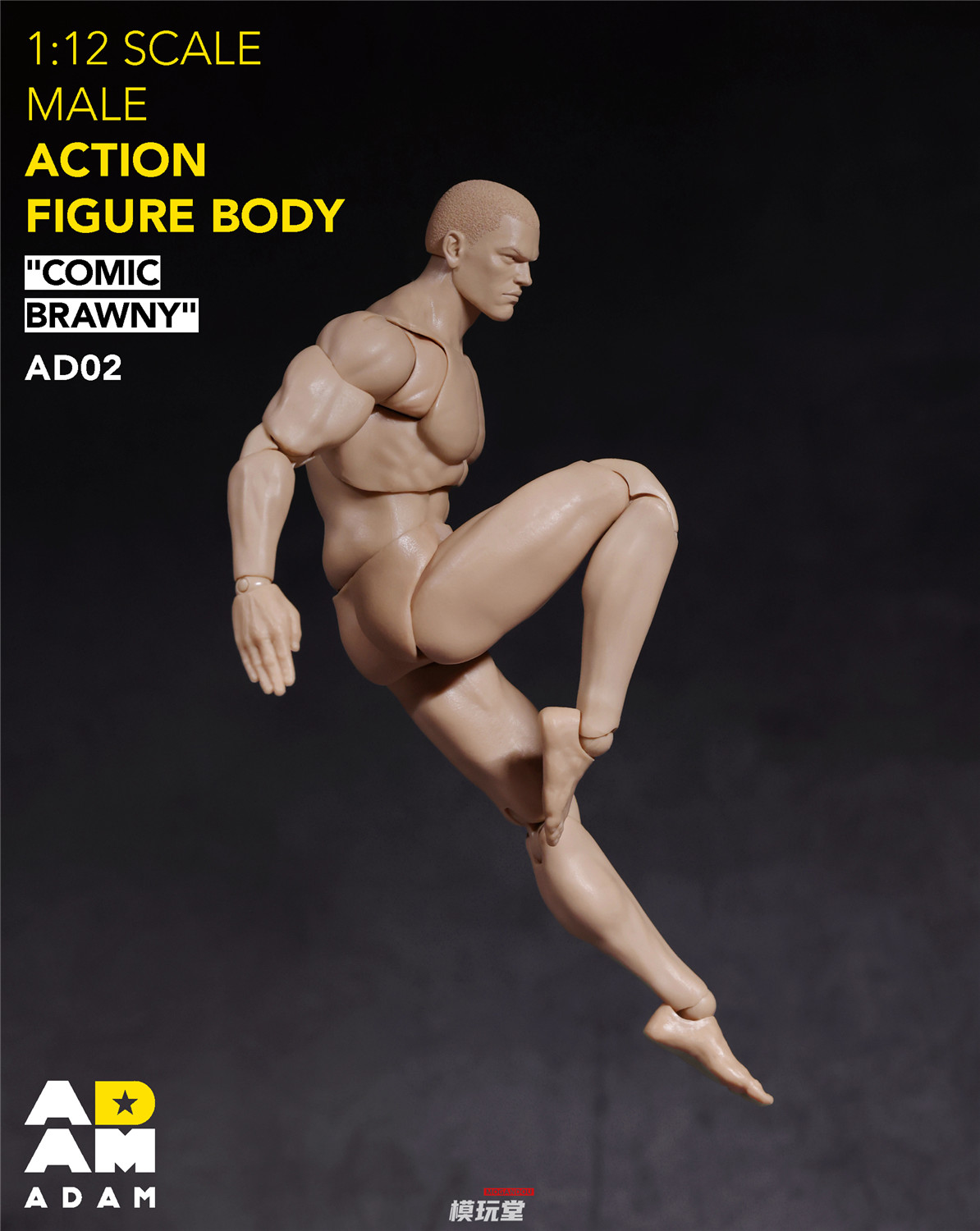 漫画アートプリント アクションスタイル 予約 ADAM 1/12 超可動 漫画スタイル 筋肉質 素体 AD02 Comic Sbrawny