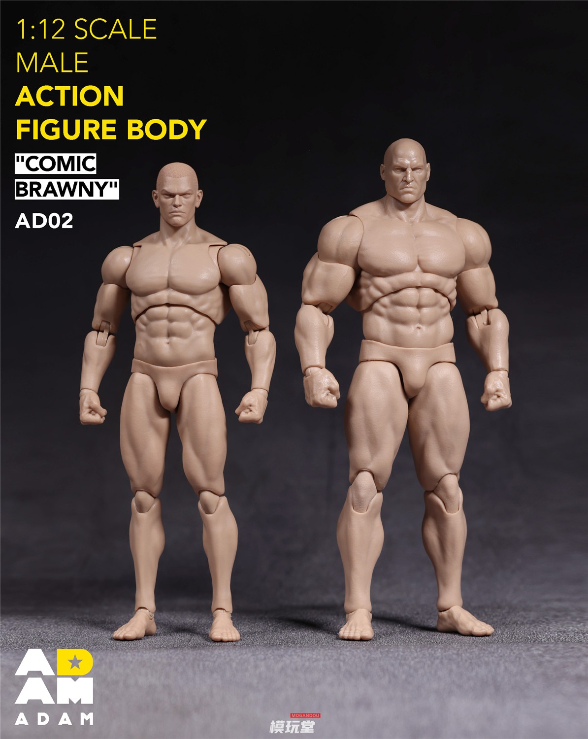 予約 ADAM 1/12 超可動 漫画スタイル 筋肉質 素体 AD02 Comic Sbrawny
