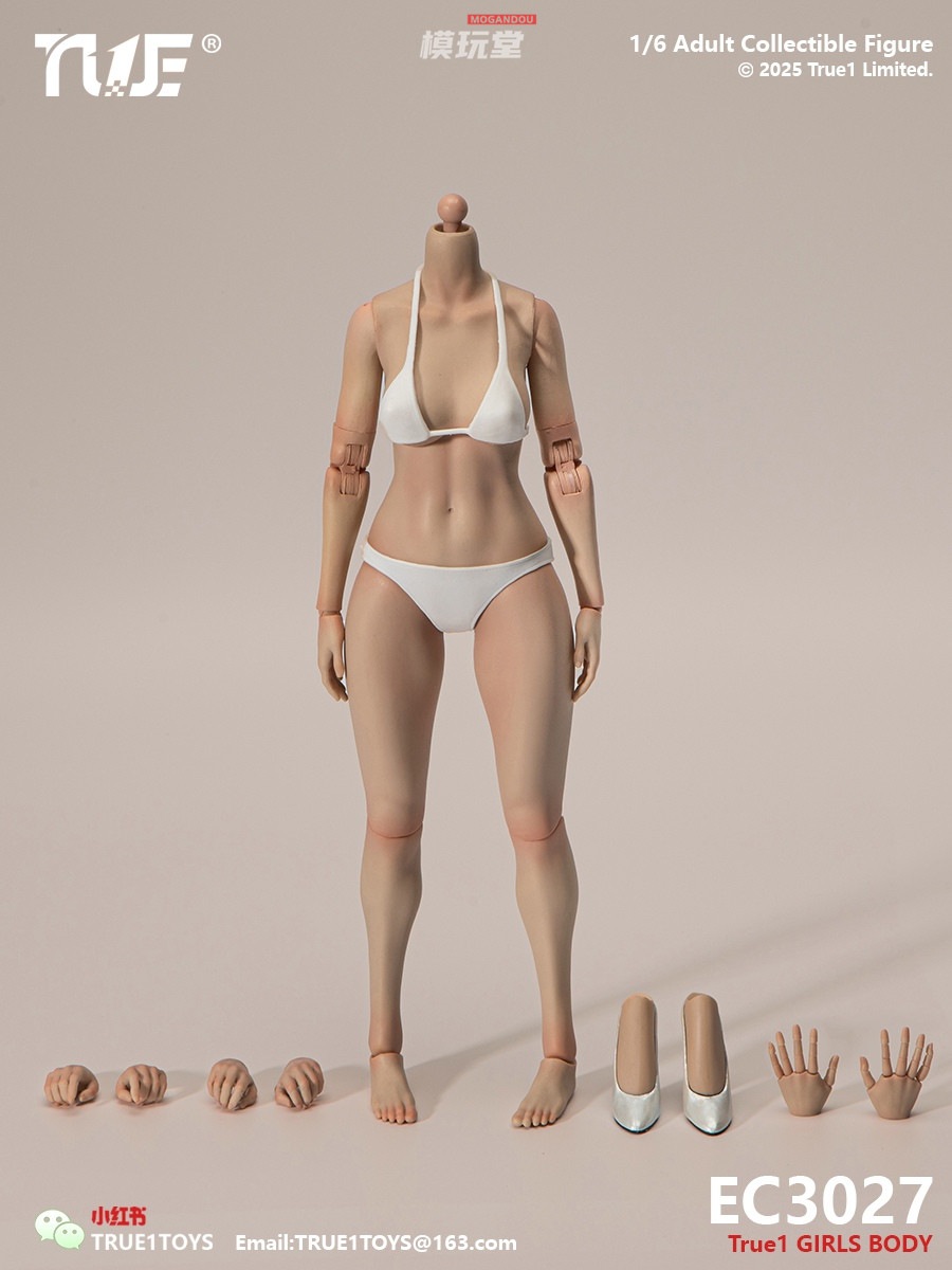 True1Toys 1/6 ラージバスト ヘッド付き（可動アイ） 予約 True1Toys 1/6 狭肩 フル可動 女性素体 手関節全可動 ミディアム