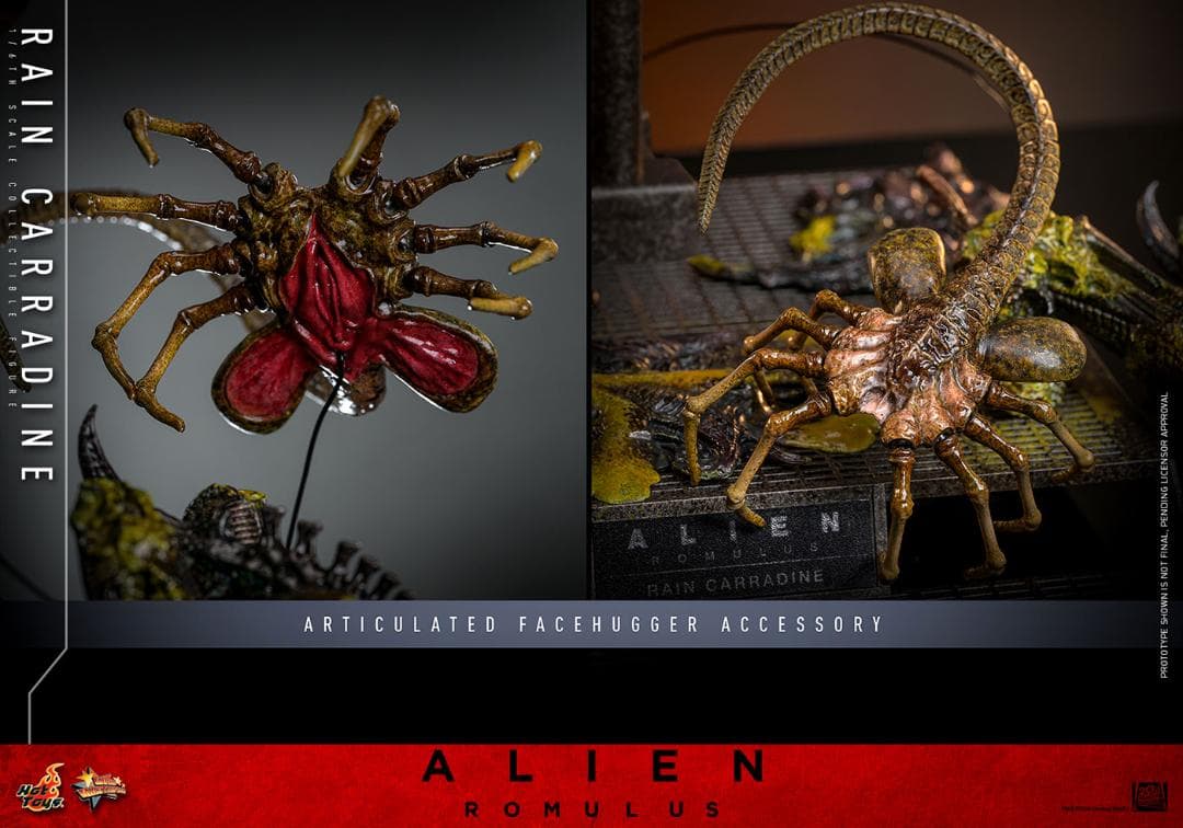 ホットトイズ 1/6 『エイリアン：ロムルス』 レイン・キャラディン