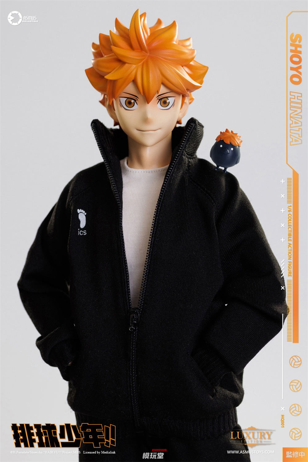 予約 ASMUS TOYS 1/6 『ハイキュー!!』 日向翔陽 通常.Ver HQ01 / DX