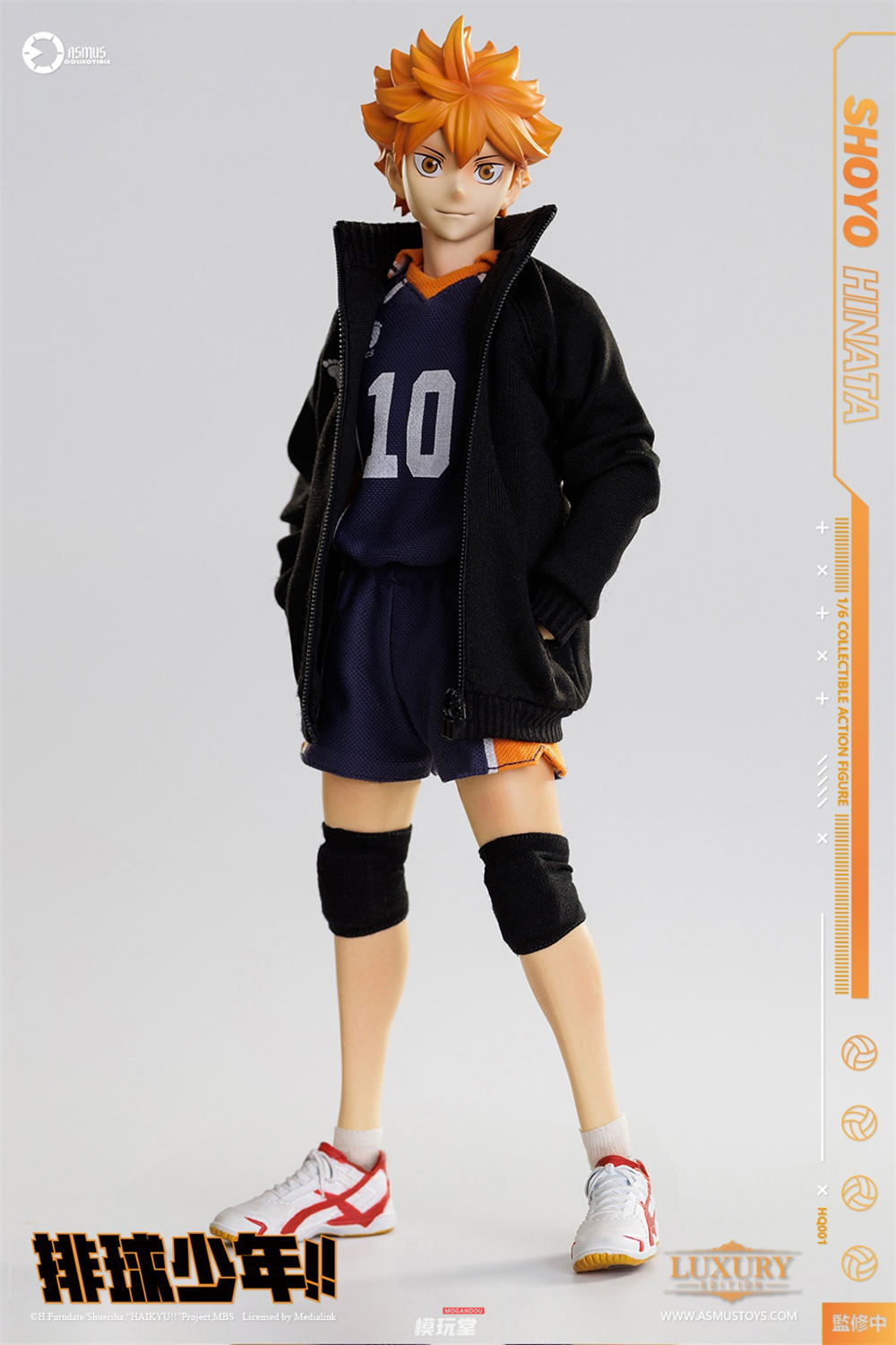 予約 ASMUS TOYS 1/6 『ハイキュー!!』 日向翔陽 通常.Ver HQ01 / DX