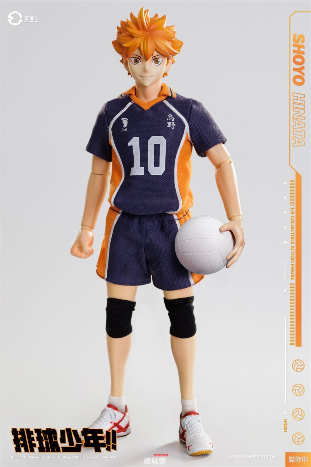 予約 ASMUS TOYS 1/6 『ハイキュー!!』 日向翔陽 通常.Ver HQ01 / DX