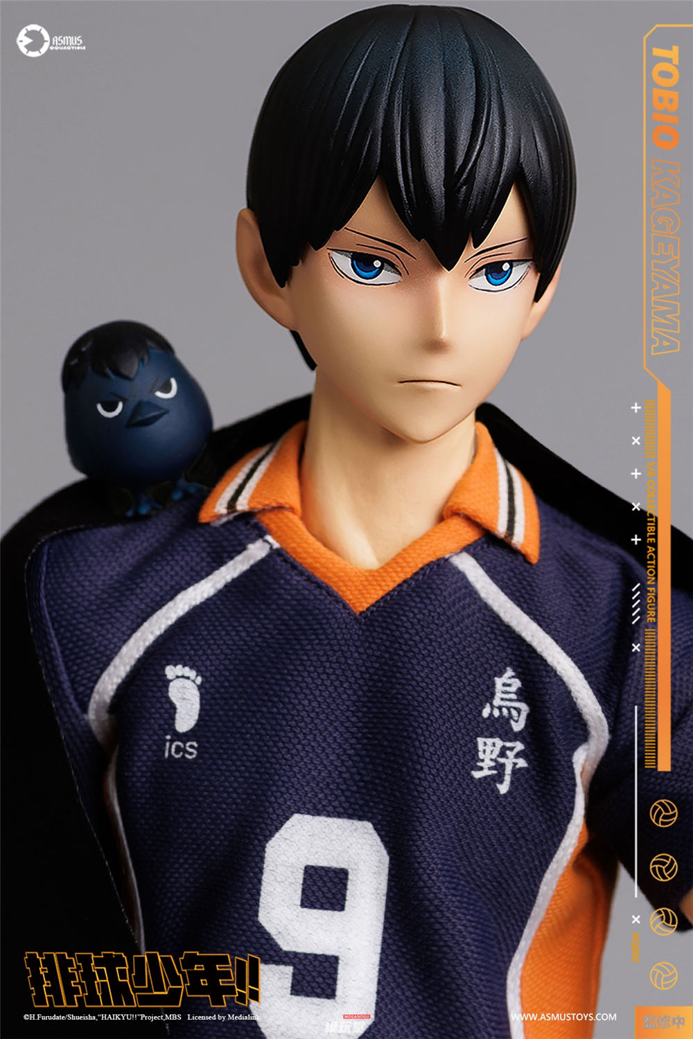 ASMUS TOYS 1/6 『ハイキュー!!』 影山飛雄 通常.Ver HQ01 / DX.Ver