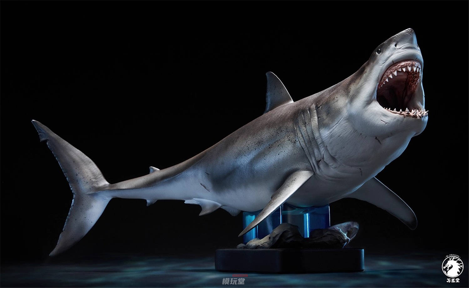 火*神様 ホホジロザメ（Carcharodon carcharias）の歯 46 楽天市場】ホホジロザメ 歯 化石 原石 Carcharodon carcharias