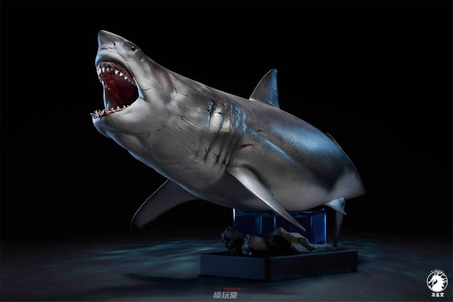 ホホジロザメ（Carcharodon carcharias）52ｍｍの歯 ホホジロザメ（Carcharodon carcharias）の歯 47.2mm - メルカリ