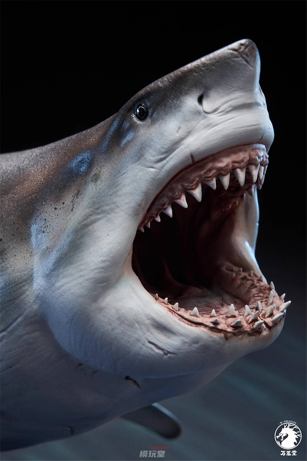 予約 万蘢堂 1/18 ホホジロザメ Carcharodon Carcharias PVC Statue