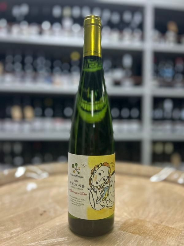 ����ȡ�����륷��󡡹ý��������ᡡ���󡦥��ޡ����塦�������� 2024