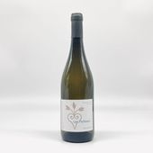 �Υ��顦���󥿥󡡥졦�ԥ��硼�����������˥��2023