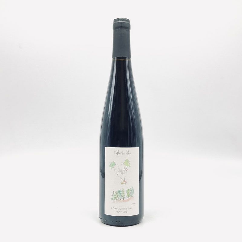 ȥ꡼̡ꥹ륶ԥΥΥ꡼֥롦ࡦ졼2023