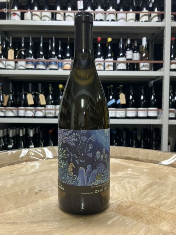 �ޥ������󥸡��ۥ����� ��å����˥֥��2022-2023