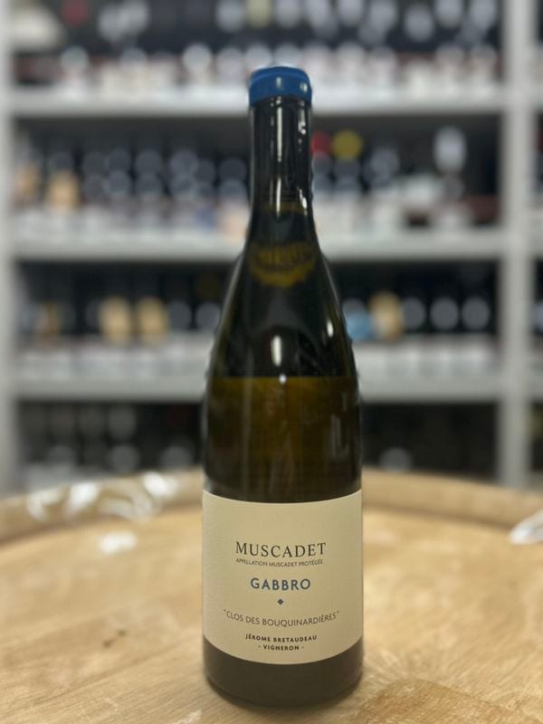 �ɥ᡼�̡��֥�ȥɡ����ߥ她���ǡ����֥����������֥��ʥ�ǥ�������2022