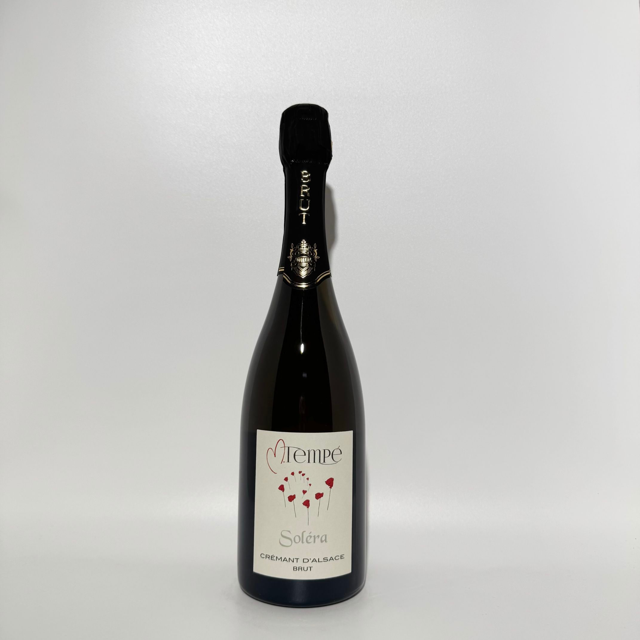 s*u様 レースリミテーション　ワイン　4点セット　新品 マルク・テンペ クレマン・ダルザスブリュット ソレラNV｜amitywine