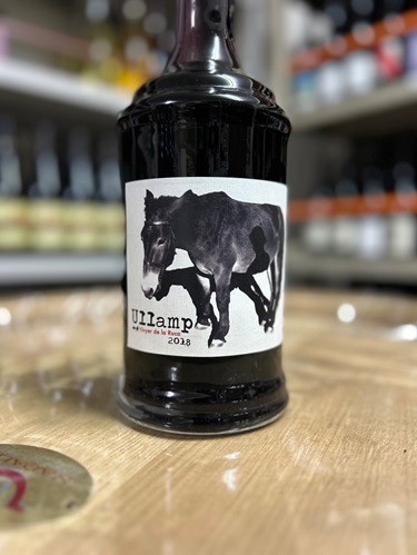 �����˥㡼��륫 �����ס���������