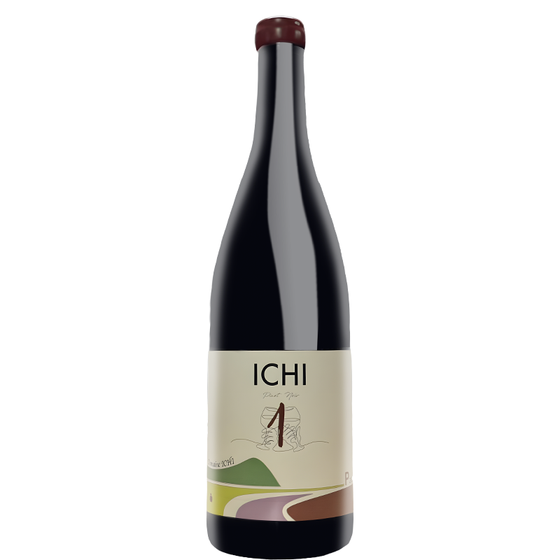 自然農園ドメーヌ・イチ ICHI-P 2023｜amitywine(アミティワイン