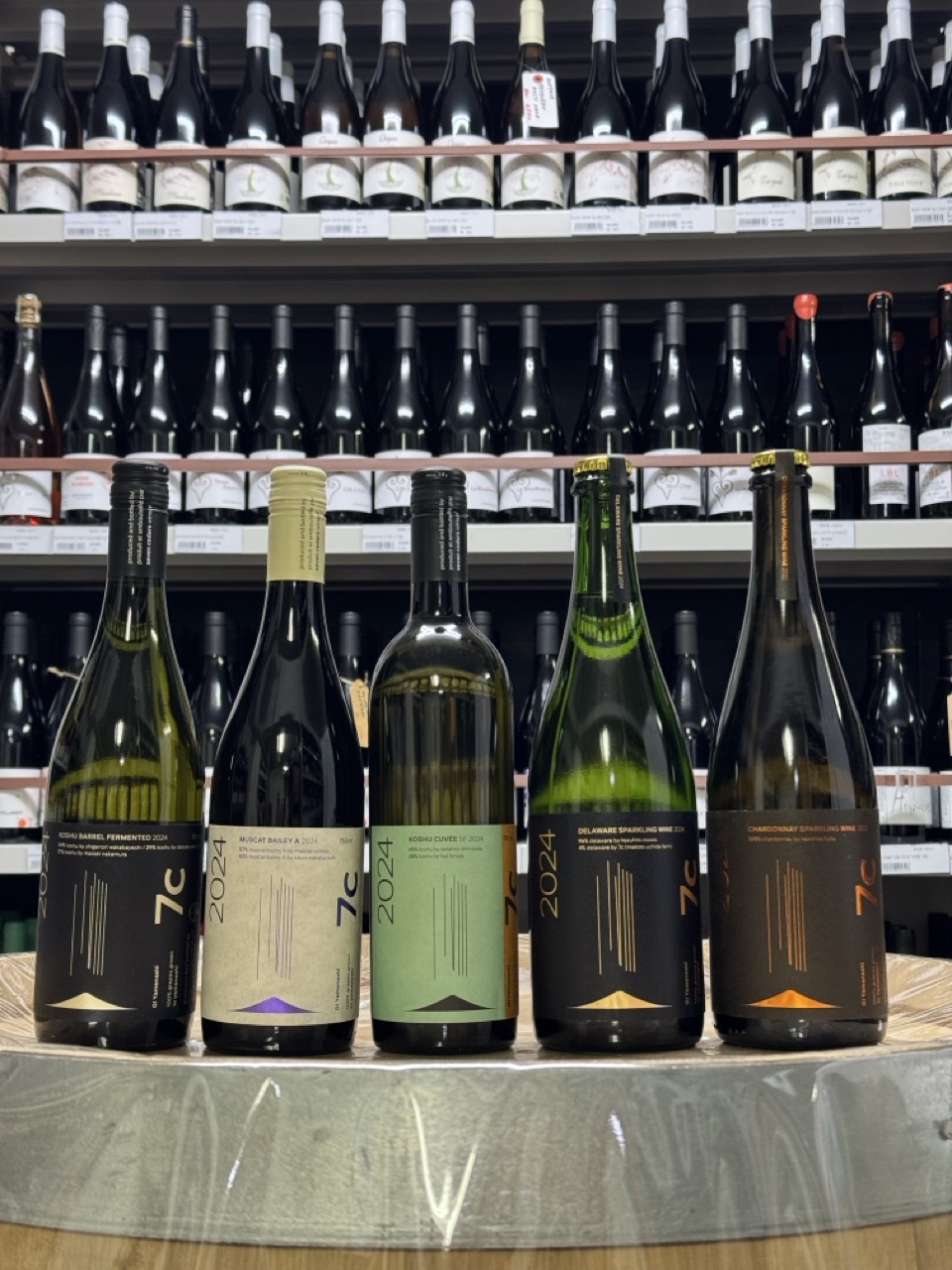 ��C���֥󥷥������磻�ʥ꡼���ý��������SF��������