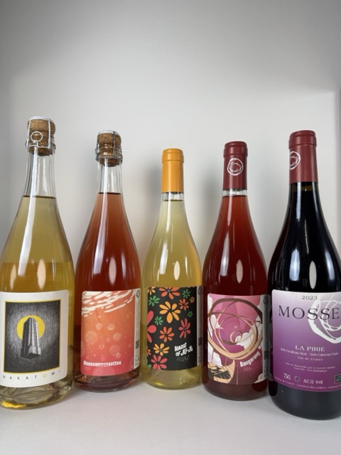 �ɥ᡼�̡��⥹���Х󥬥��2024