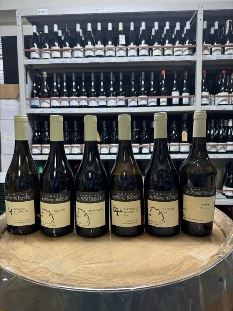 �ޥ�̥֥�󥷥塡�ȥ��륽����������