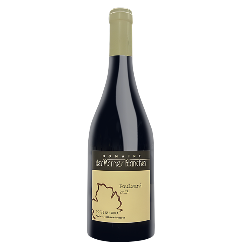 マルヌブランシュ プールサール2023｜amitywine(アミティワイン