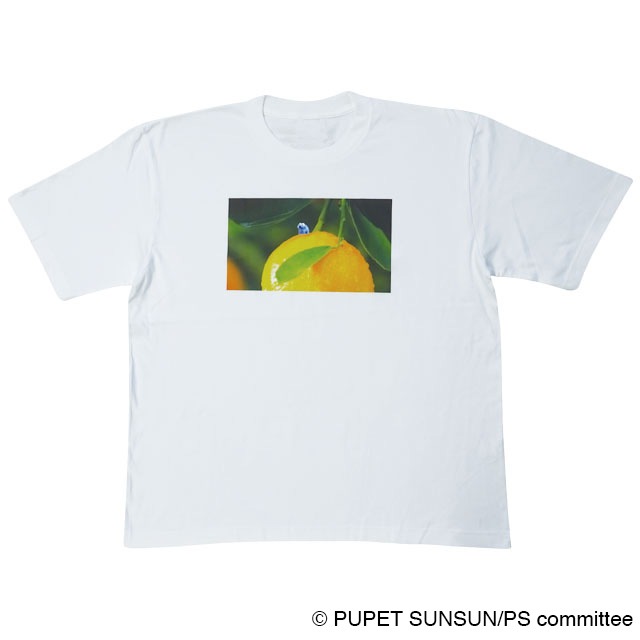 �ѥڥåȥ��󥹥�BIGT����ġ��楺/WH