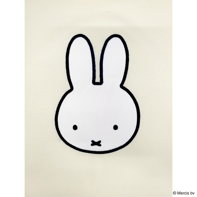 ǥå֥롼ʡTġߥåե