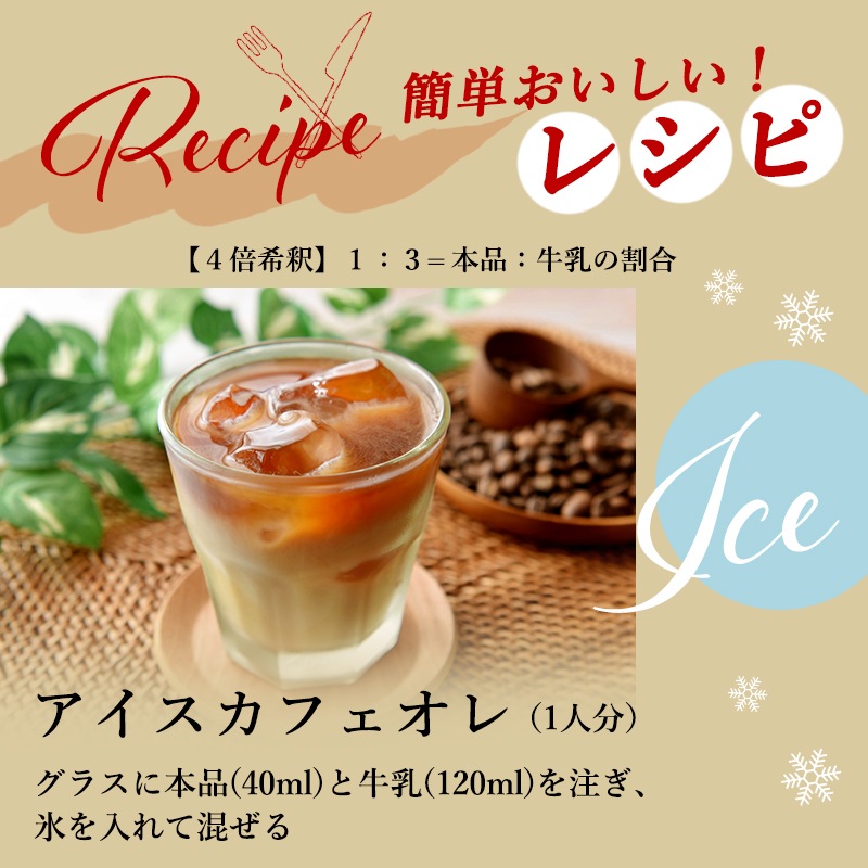 �� [������]���󤿤󡡥��ե��������� 500ml��12��