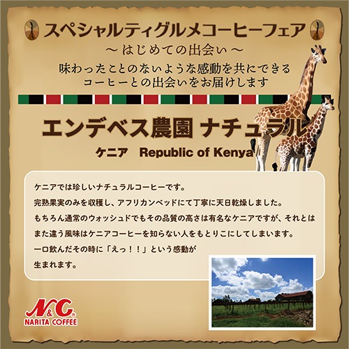  ˥ǥ٥ࡡʥ롡[100g]