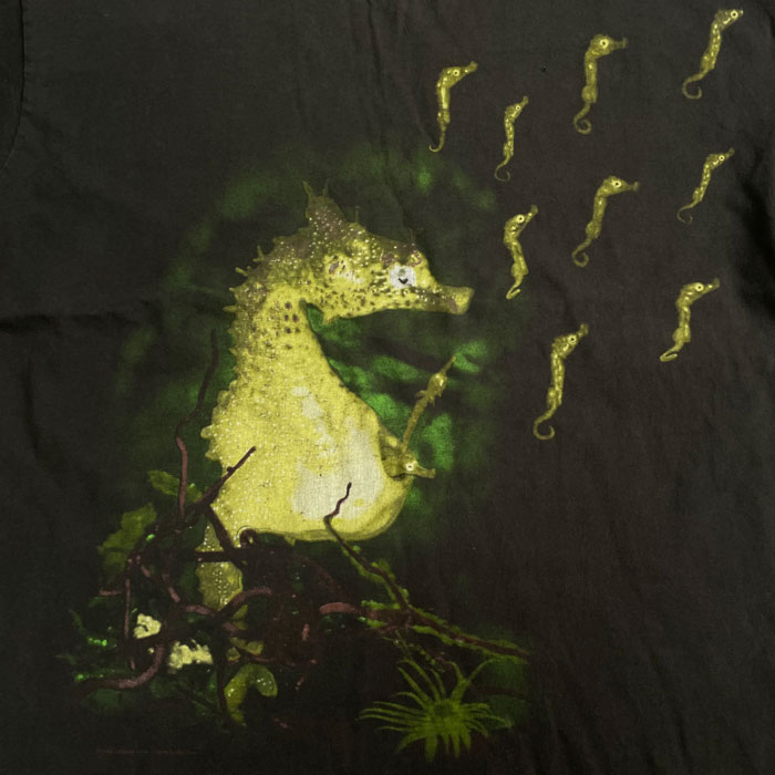 Nirvana Come As You Are Psychedelic Kissing Seahorses Shirt Giant XL
