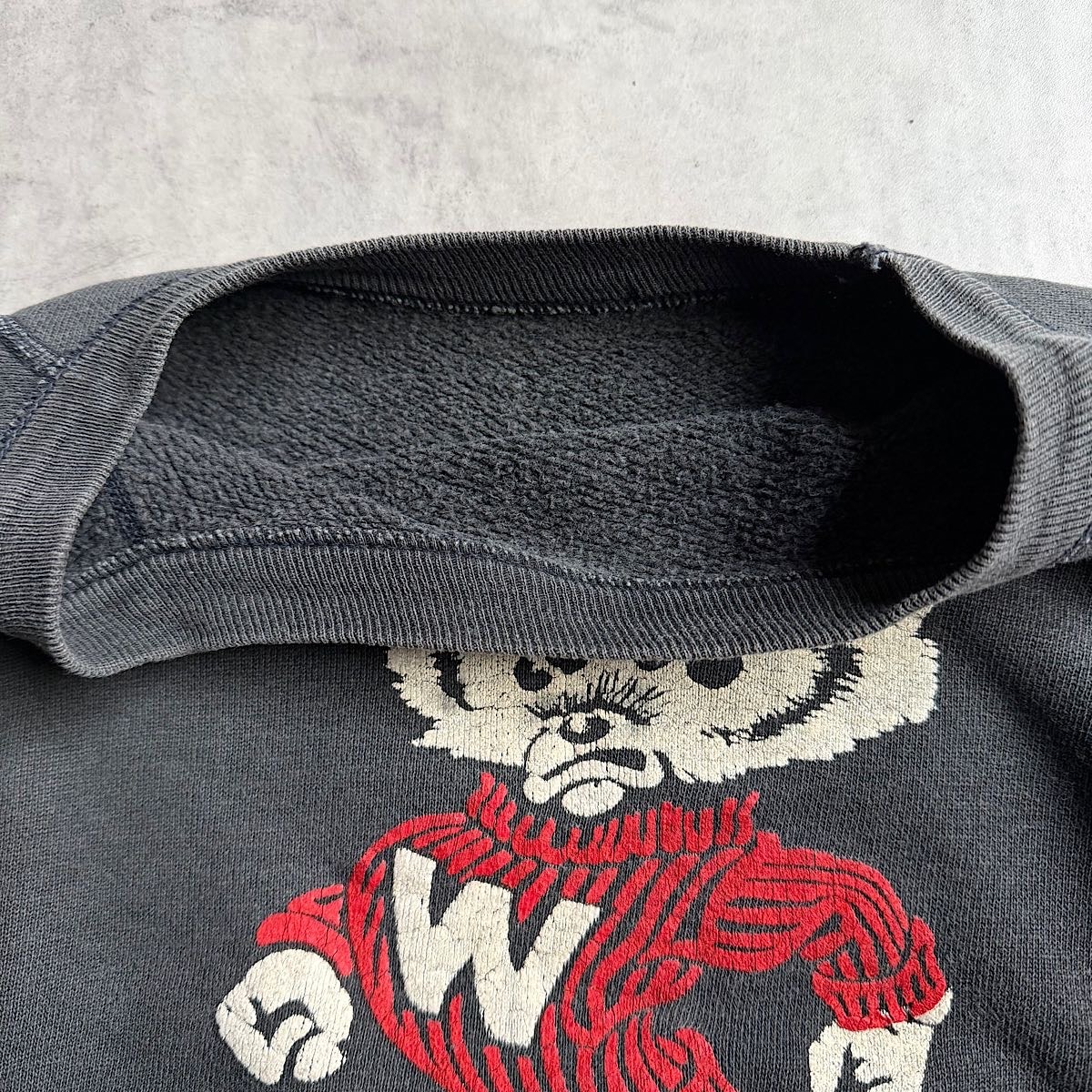 60's WISCONSIN UNIVERSITY Color Flocked Print Raglan Sweat Shirt