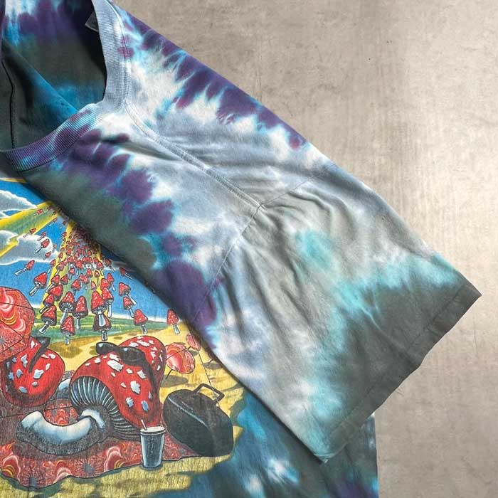90'S THE ALLMAN BROTHERS BAND T-SHIRTS Made in USA 90年代 オール