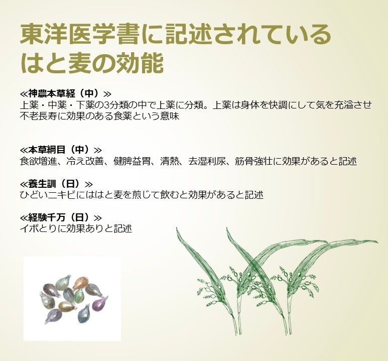 �Ϥ������Ԥ���γʴ(�Ϥ����ѥ�����)