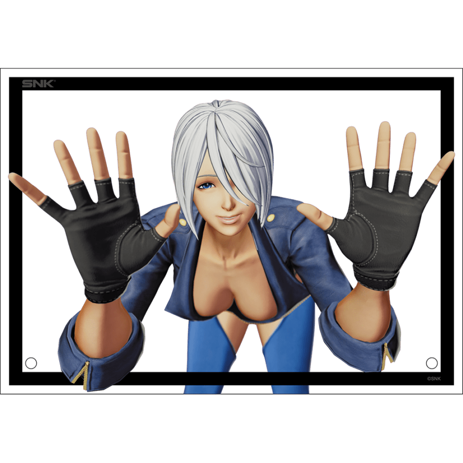 アクリルプレート（A5） | アクリル | NEOGEO STYLES