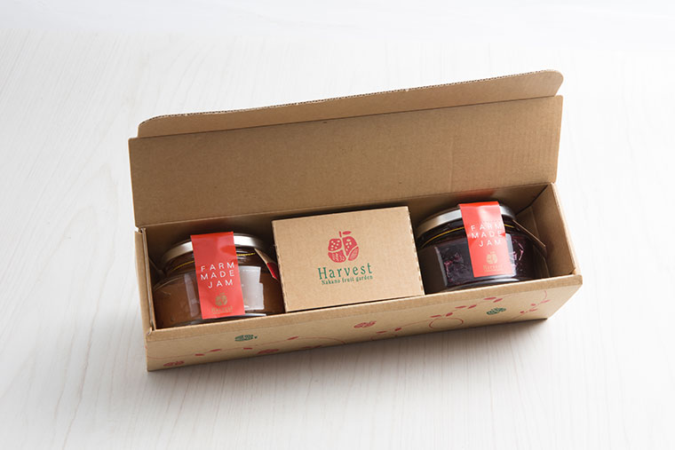 μꥸࡡ2ĥåȡʥϥåס֥롼٥꡼ǽ