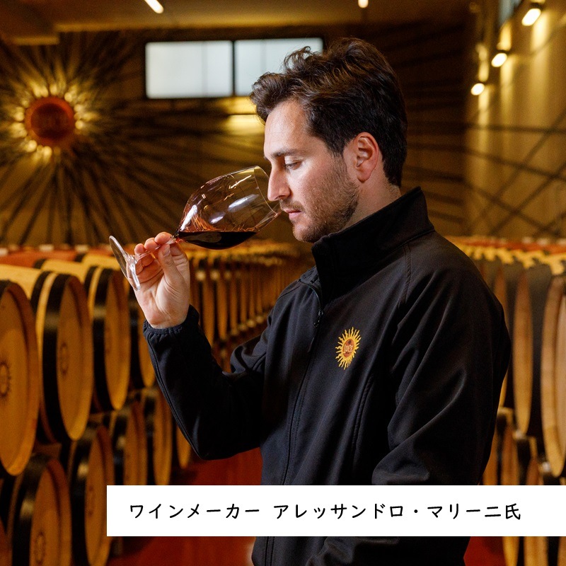 レヴィアタン 　エンチャンテッド1枚 テヌータ・ルーチェ ルチェンテ 2023 750ML｜Your Cellar（ユアセラー