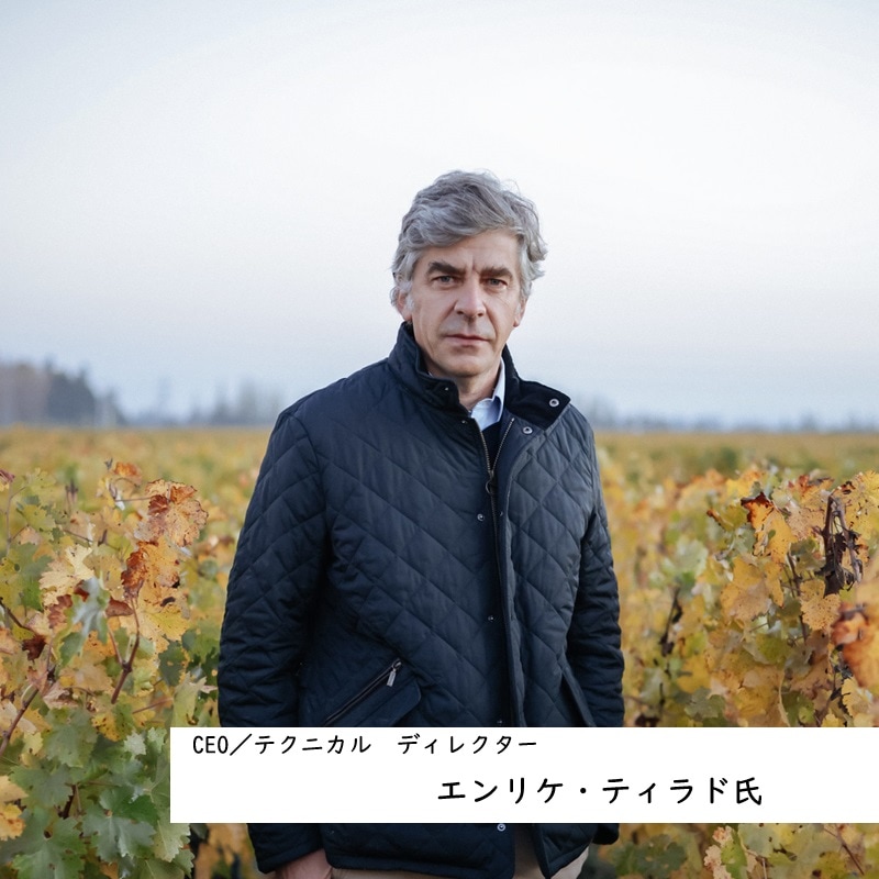 ドン・メルチョー カベルネ・ソーヴィニヨン 2021 750ML ｜Your Cellar