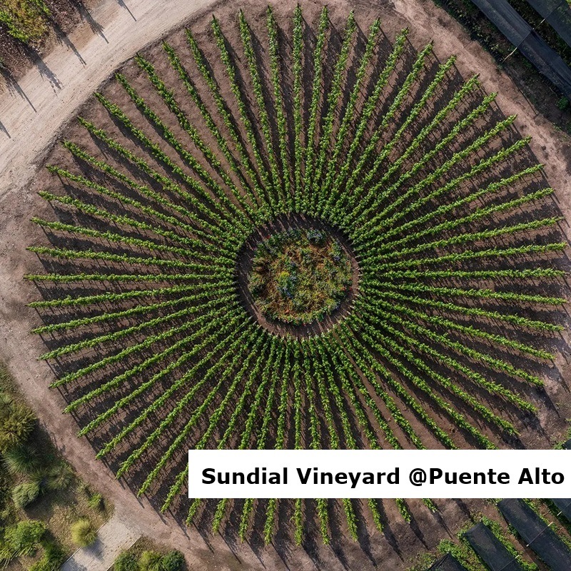 ドン・メルチョー カベルネ・ソーヴィニヨン 2021 750ML ｜Your Cellar