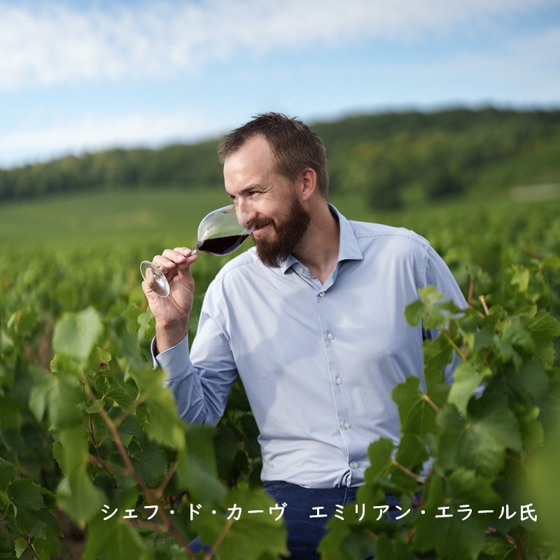 シャンパーニュ シャルル・エドシック ブリュット ヴィンテージ 2013