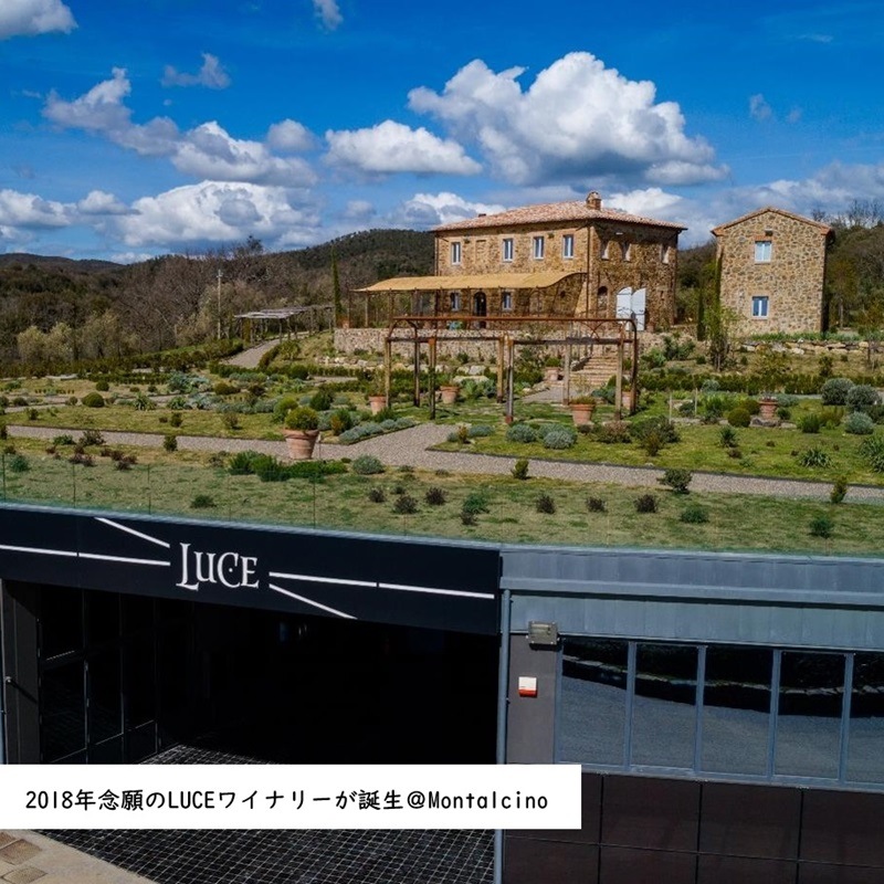 テヌータ・ルーチェ ルーチェ コレクション 2001 1.5L マグナムボトル