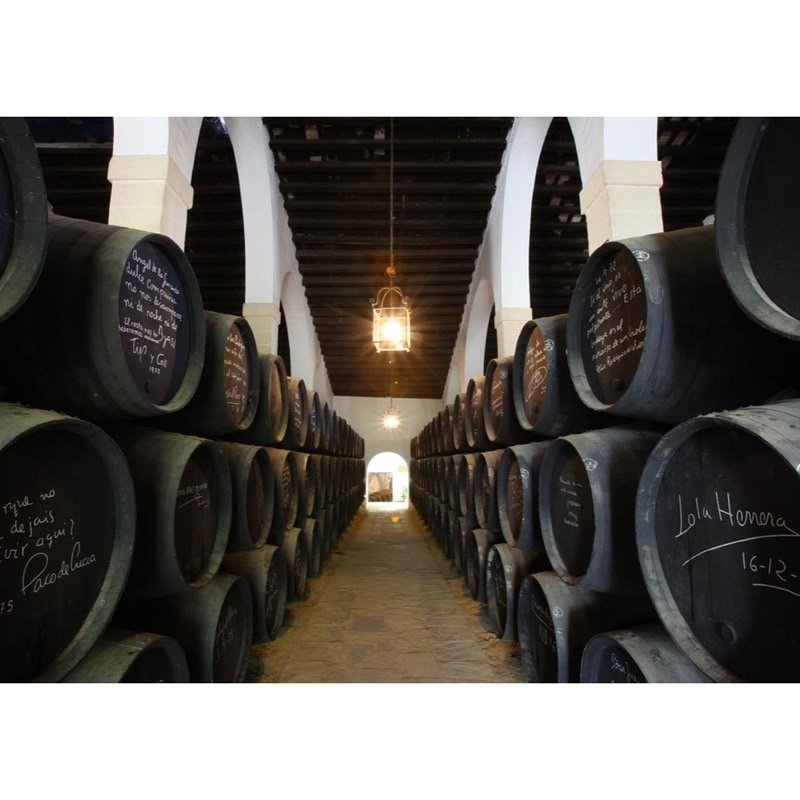 ゴンザレス・ビアス ティオ・ペペ フィノ エン・ラマ 2024エディション