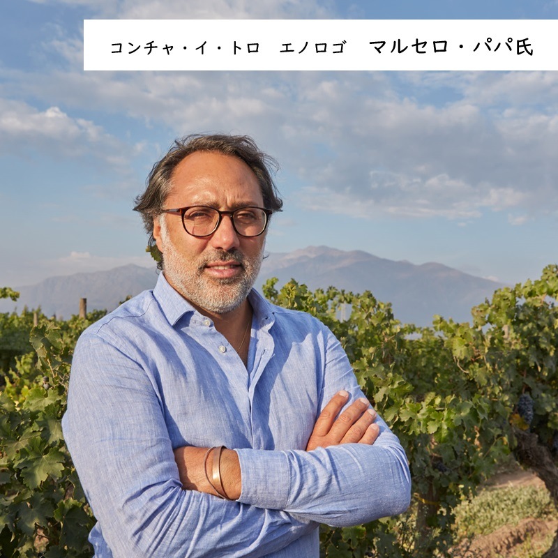 コンチャ・イ・トロ アメリア シャルドネ 2021 750ML ｜Your Cellar