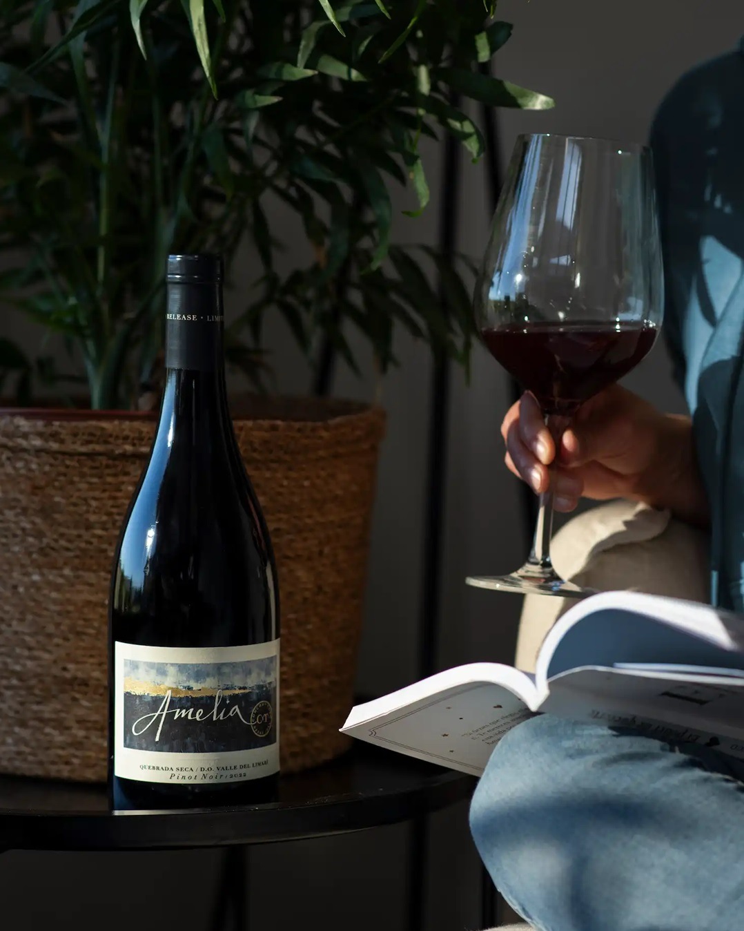 コンチャ・イ・トロ アメリア ピノ・ノワール 2021 750ML ｜Your