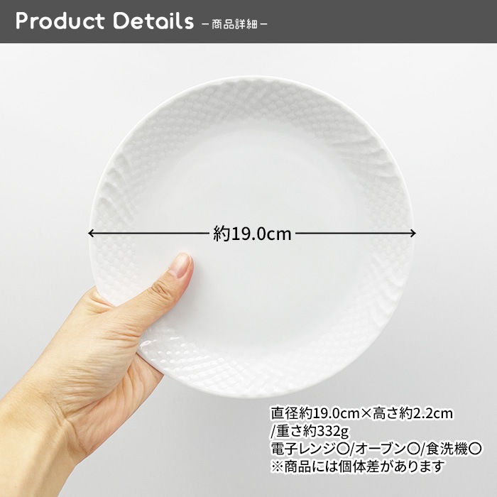 202608_1【A品・B品込み】トカゲプレート 19cm