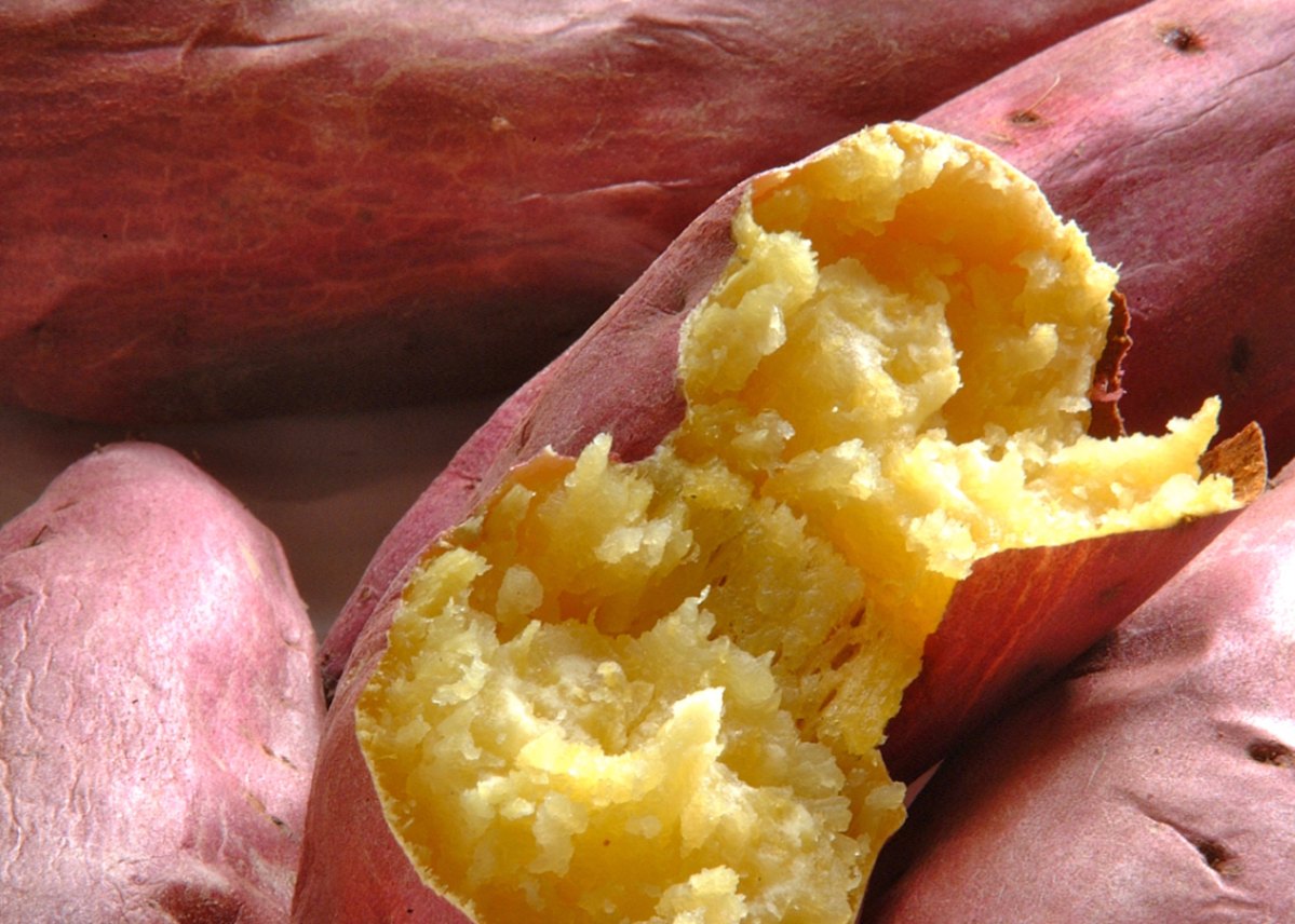 さつまいも なると金時『里むすめ』 5kg